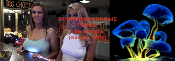 spice Тайга
