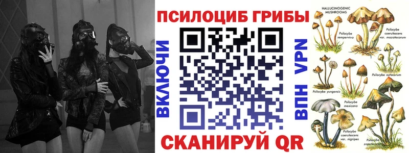 Галлюциногенные грибы Psilocybe  Бугуруслан 
