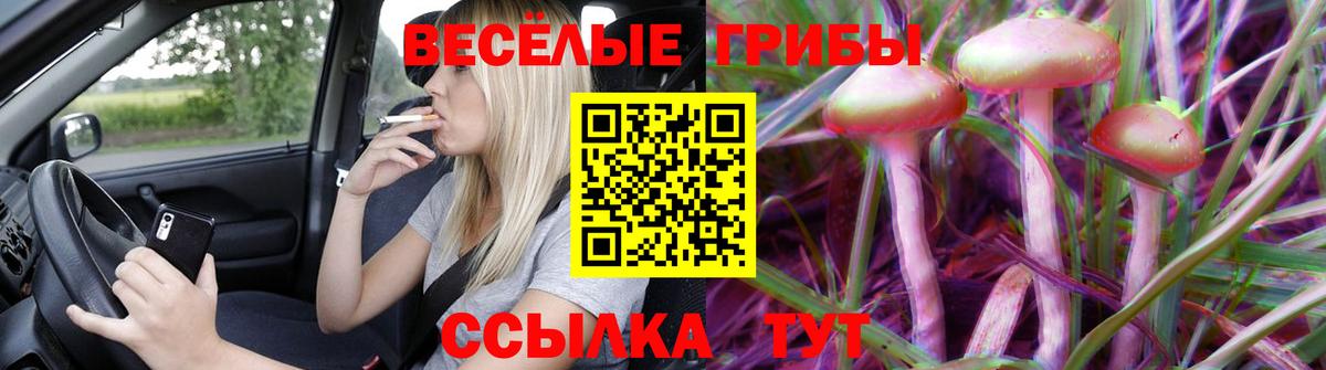 Псилоцибиновые грибы Psilocybine cubensis  Бугуруслан 