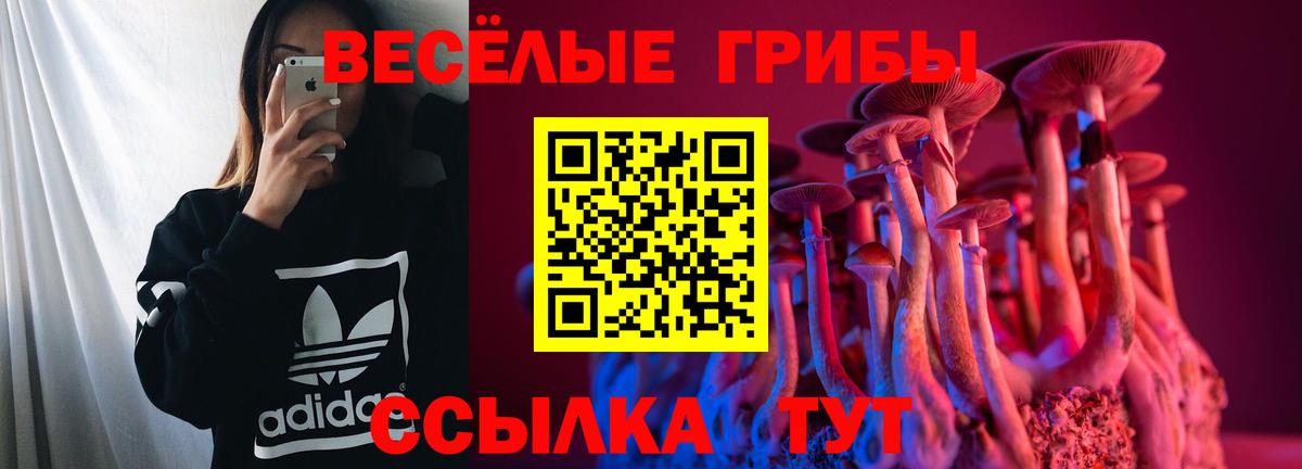 Бугуруслан  Галлюциногенные грибы Magic Shrooms  Вход с VPN 